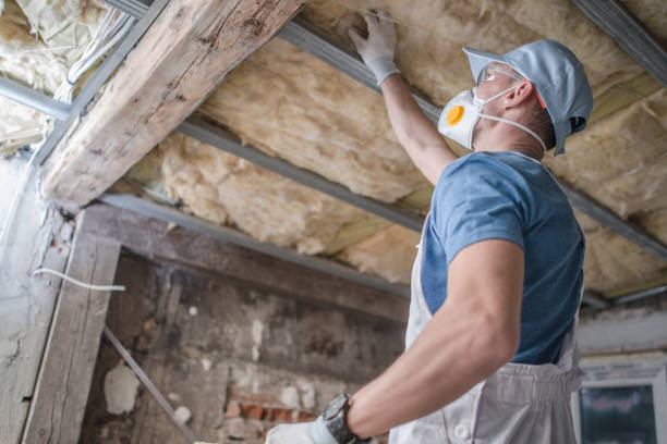 Types of Insulation We Offer in Bristol, TN