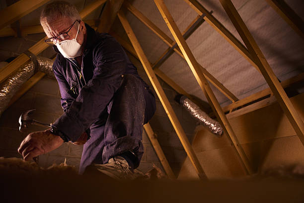 Best Eco-Friendly Insulation in Bristol, TN